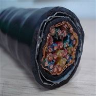 铜带分屏蔽计算机软电缆