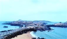 �������ܴ�����չ �й���Э���ܴ����ֻ�������� 